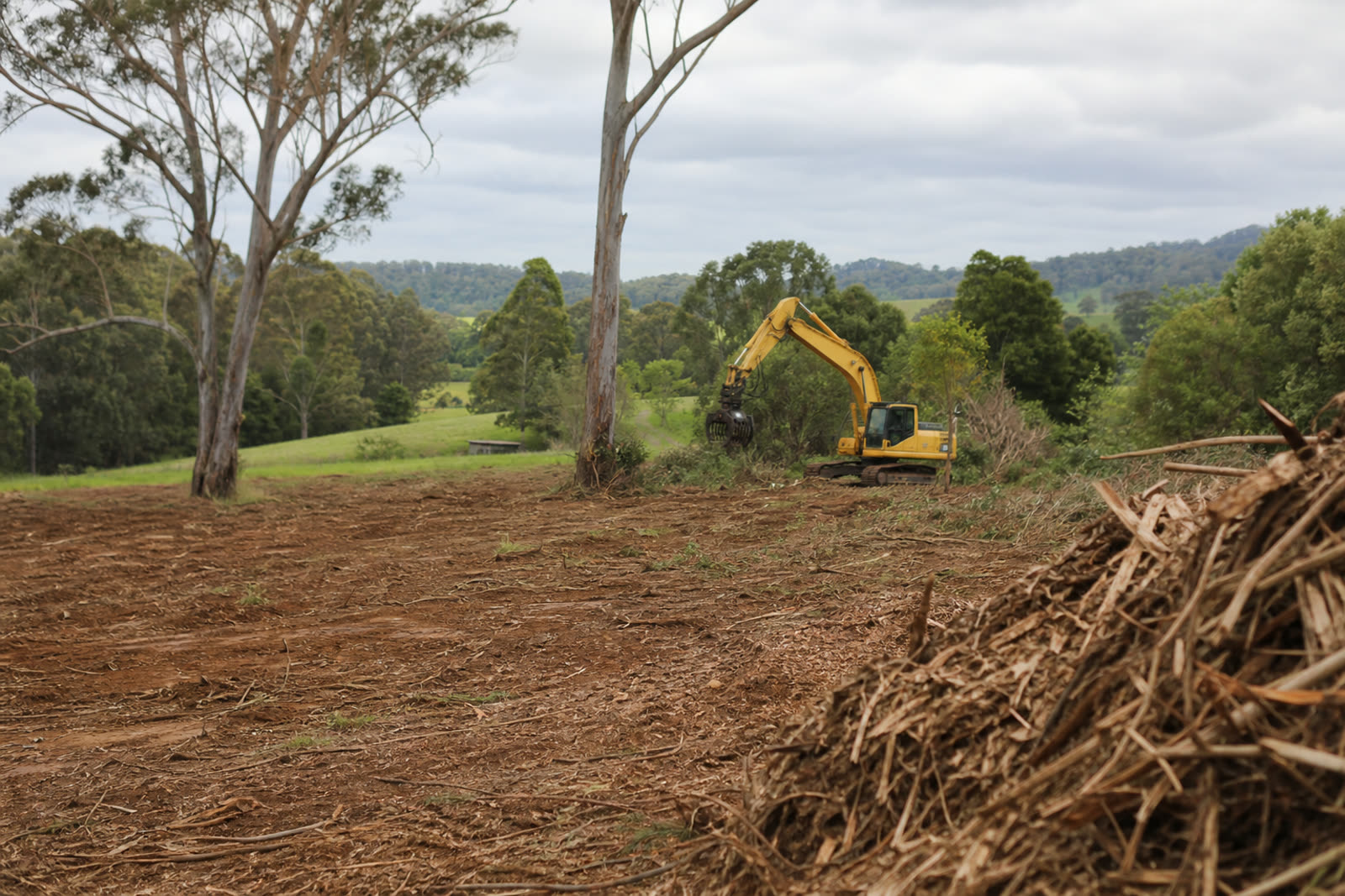 Excavator with a grab clearing a rural block while mature trees are kept